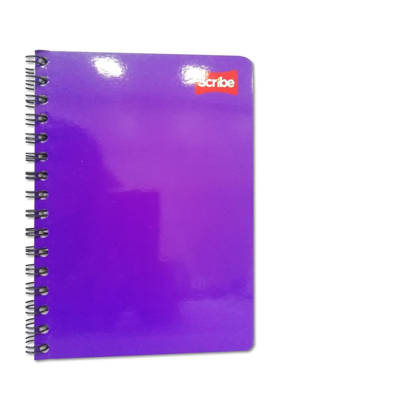 CUADERNO PROFESIONAL CLASICO CUADRO GRANDE CON 100 HOJAS SCRIBE