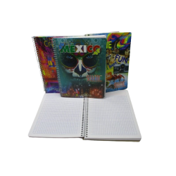 CUADERNO FRANCES ESPIRAL CUADRO CHICO 5MM 100 HOJAS SELECTO