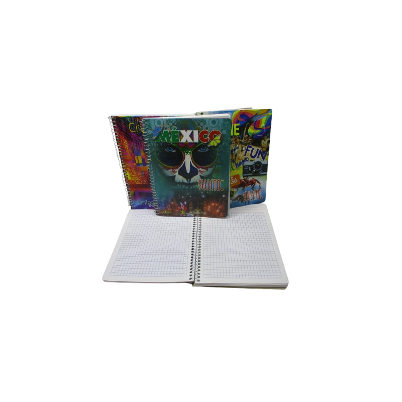 CUADERNO FRANCES ESPIRAL CUADRO CHICO 5MM 100 HOJAS SELECTO