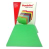 FOLDER TAMAÑO CARTA COLOR BITONO VERDE