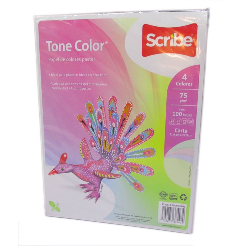 HOJAS DE COLOR PASTEL TONE COLOR C/100 SURTIDO