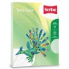 PAPEL TONE COLOR VERDE