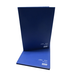 LIBRO DE REGISTRO ACTAS RAYA 96 HOJAS FRANCES